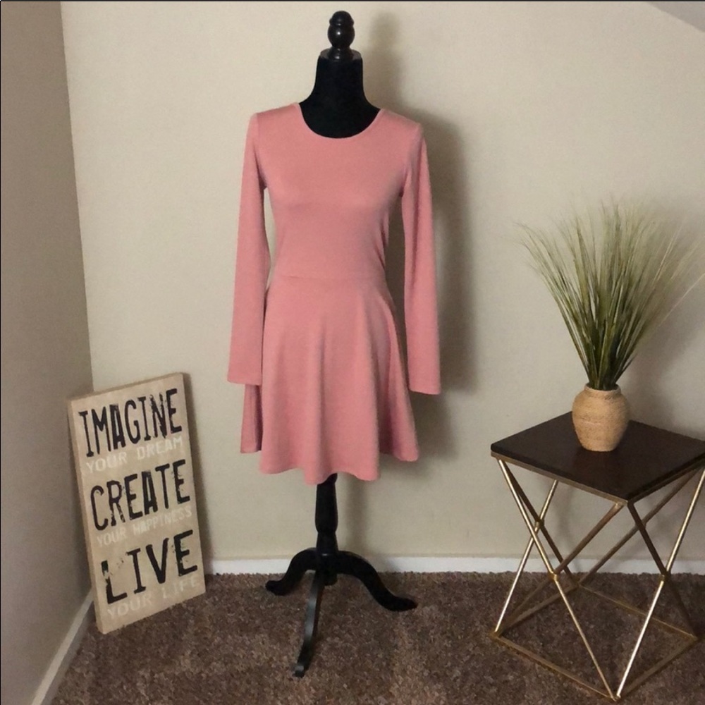 🎀NWT Precious Pink Skater Dress 🎀